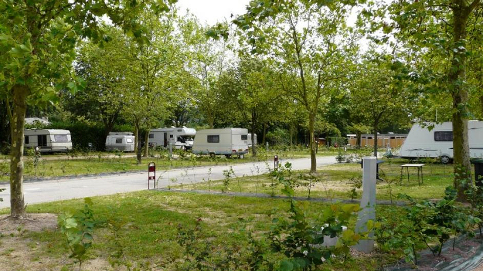 Camping de la vallée - 3 étoiles - Lisieux (7) - camping - emplacements - camping-cars - arbres - ombre