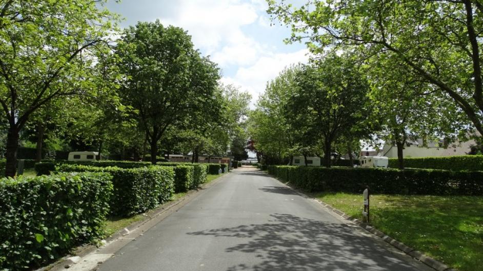 Camping de la Vallée à Lisieux Allée - Marion Nogueira - allée - emplacements - ombre - arbres