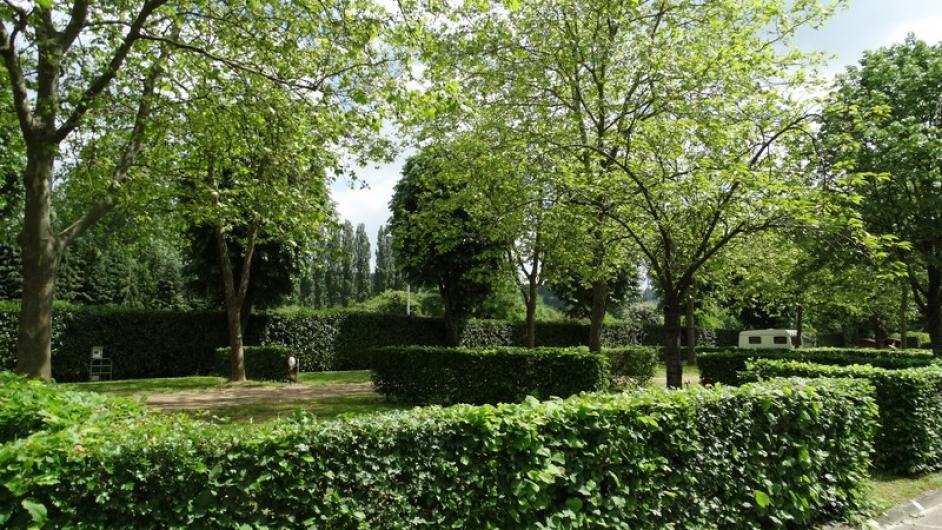 Camping de la Vallée à Lisieux Haies - Marion Nogueira - emplacements - arbres - ombre
