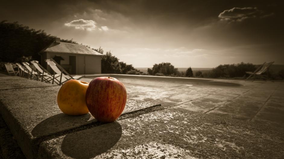 Auge Horizon - Mme Guilaine Lemanissier