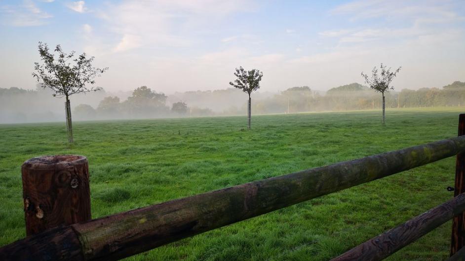 Chambres d'hôtes la Ferme des Hayes - extérieur - jardin - vue - Formentin - Normandie - Calvados 