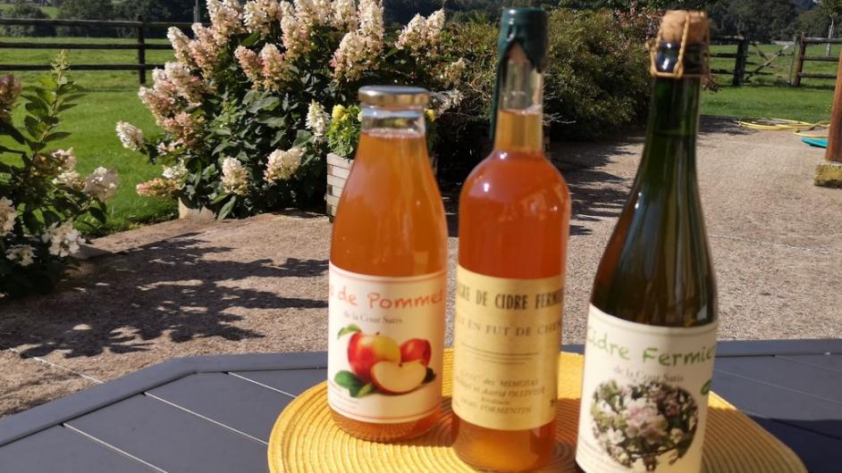 Chambres d'hôtes la Ferme des Hayes - extérieur - terrasse - jus de pomme - cidre - Formentin - Normandie - Calvados 