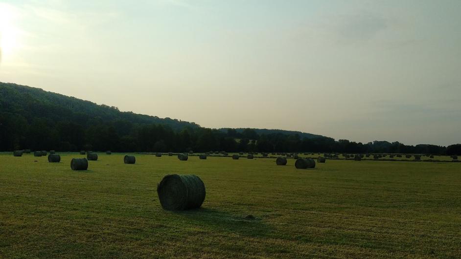 champs ..@AubryOlga - @Aubry Olga