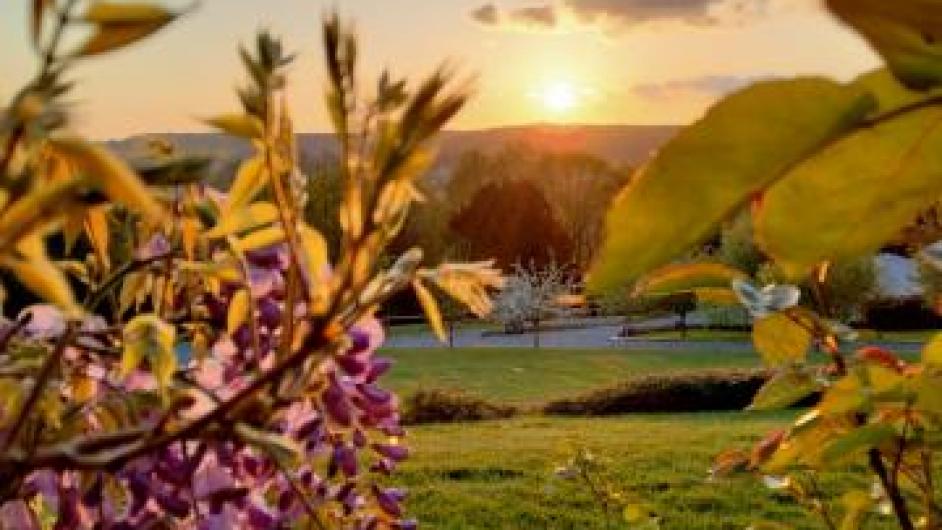 couché de soleil - Mme Guilaine Lemanissier