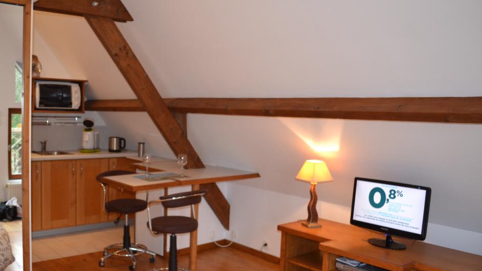 Studio du Domaine de la Petitière - intérieur - coin cuisine - salon - tv - Bonneville-la-Louvet - Normandie - Calvados 