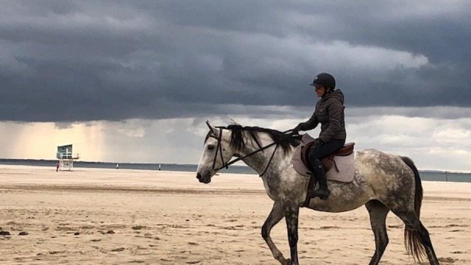 Domaine de l'Atlas, balade sur la plage, Glanville, Pays d'Auge, Calvados, Normandie