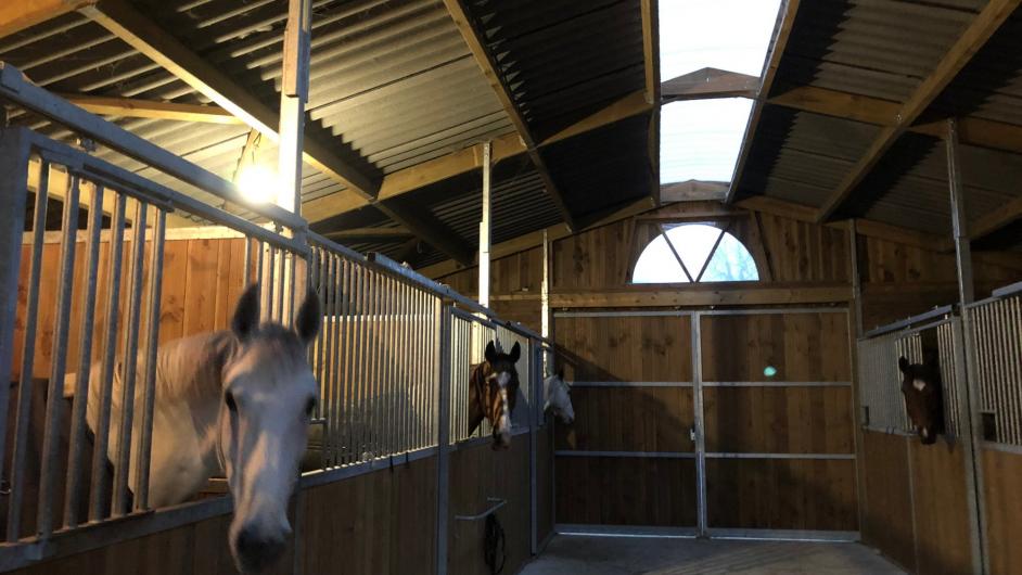 Domaine de l'Atlas, centre équestre, Glanville, Pays d'Auge, Calvados, Normandie