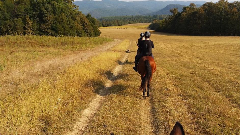 Domaine de l'Atlas, balade à cheval, centre équestre, Glanville, Pays d'Auge, Calvados, Normandie