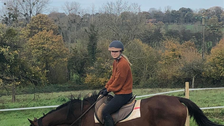 Domaine de l'Atlas, centre équestre, Glanville, Pays d'Auge, Calvados, Normandie