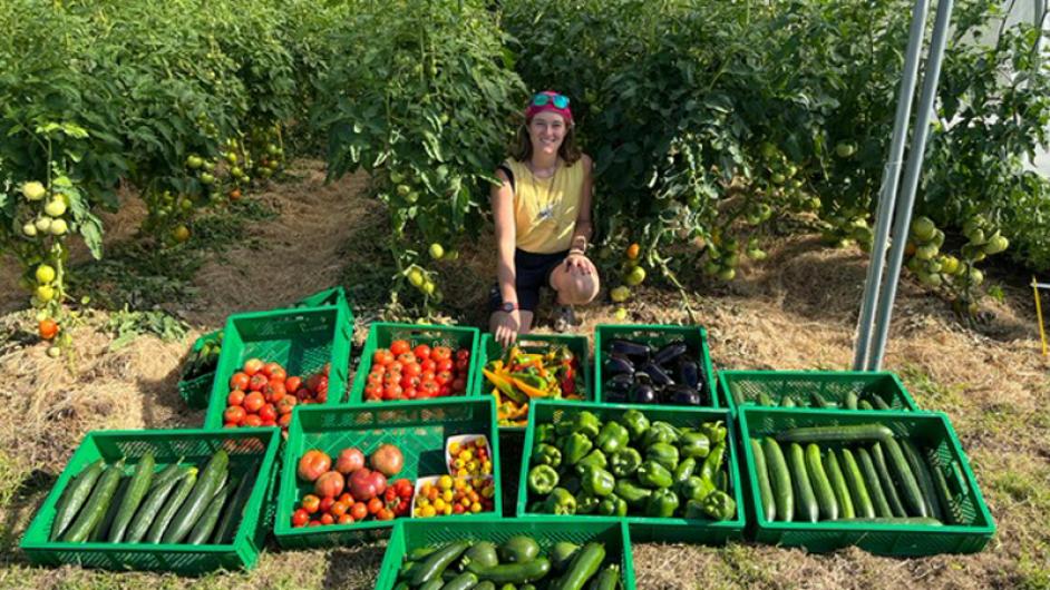 e7d767f2-e901-410f-866c-56ff847e6bf7 - ©CORALIE PALLIER