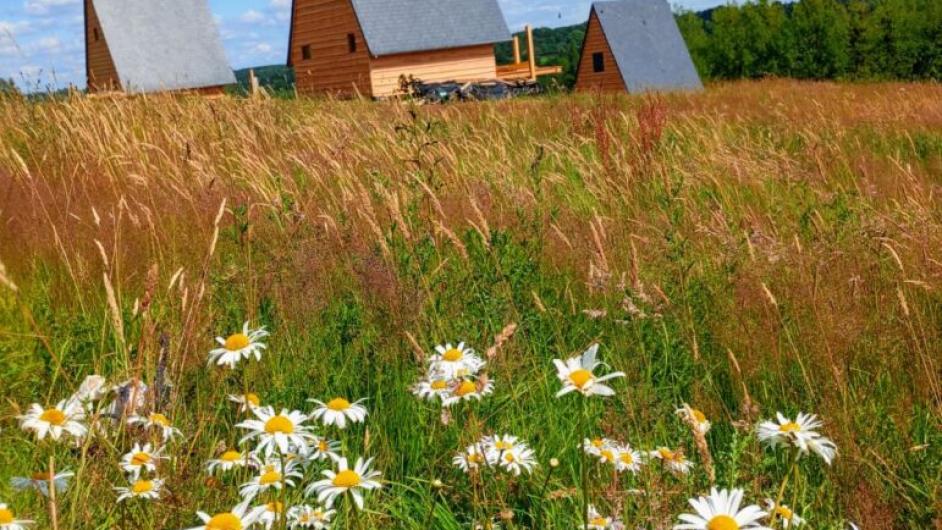écolodge fontaine aux herbes Clarbec - La Fontaine aux herbes