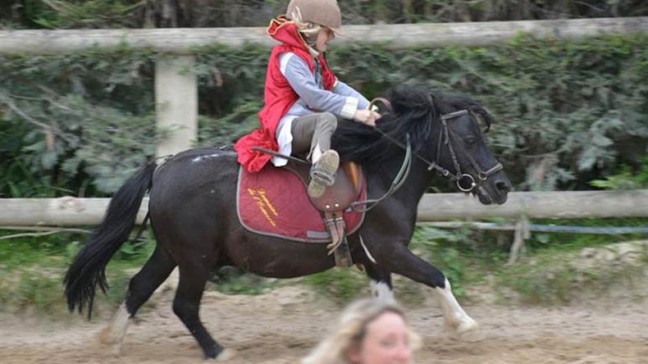 Animation poney ormerie Calvados - D. de Polignac