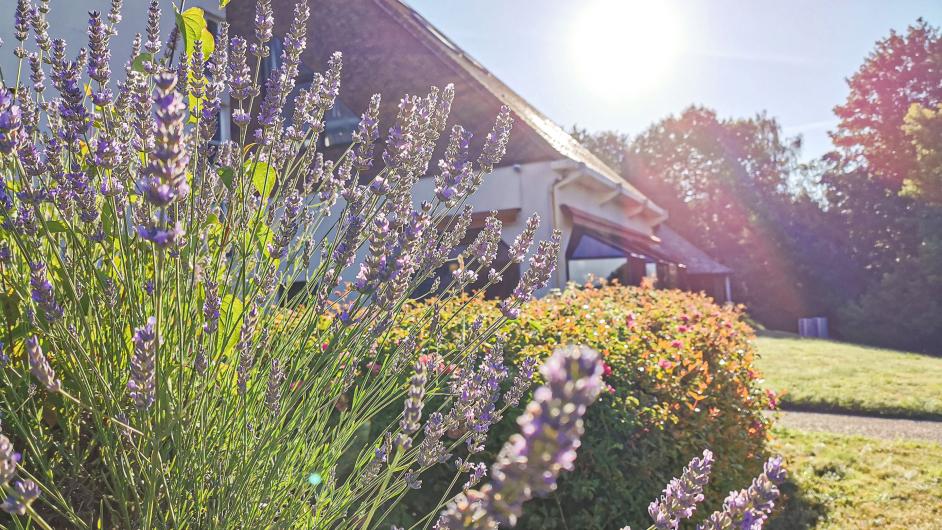 Extérieure côté jardin - Hôtel Les Jardins de Deauville - Hôtel Les Jardins de Deauville