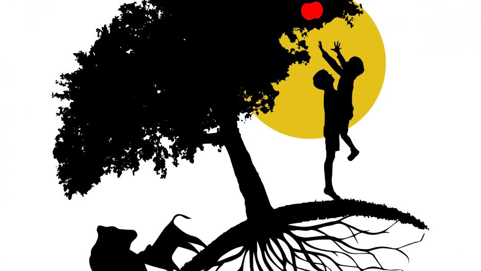 Ferme de la Vallée au tanneur - Auvillars