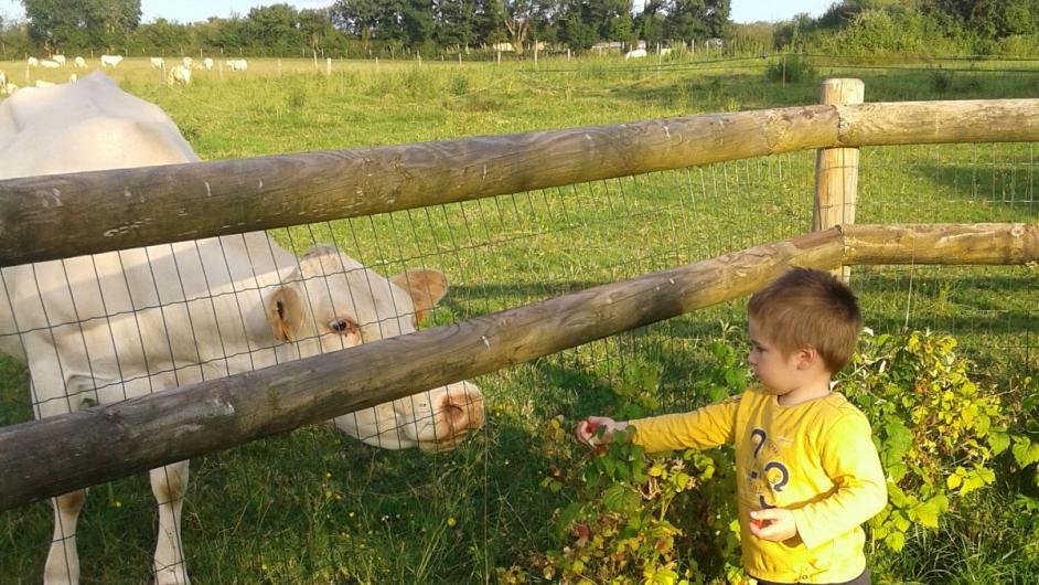 garçon champs @AubryOlga - @Aubry Olga