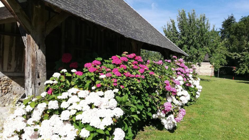 Maison à colombage cottage de Cour La Ville Pays d'Auge Calvados Normandie