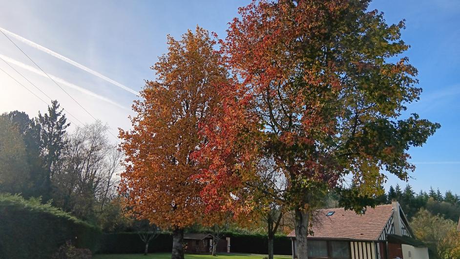 Les Augettes jardin et maisons normandes, Saint-Hymer