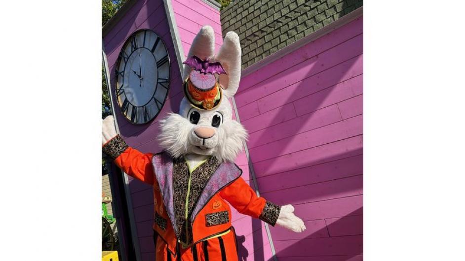 IMG_3519 - Paradisland