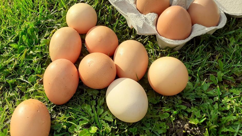 La fermes des capucins - oeufs - Saint-Etienne-la-Thillaye - Calvados - Normandie