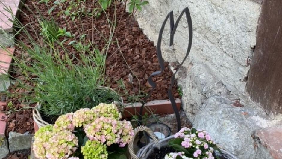 Gîte La Longère de Mathilde - extérieur - colombages - pan de bois - Manneville-la-Pipard - Pays d'Auge - Calvados - Normandie