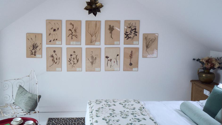 La Maison Mouche chambre Mouche