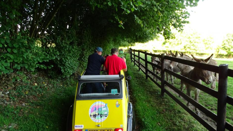 La Normandie en 2CV - balade - circuit - véhicule - Pont-l'Evêque - Normandie - Calvados 