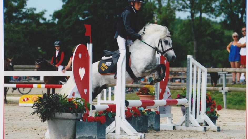 lancelot+aquarel 10 - reduit - d.de Polignac