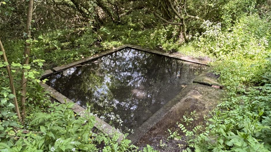 Lavoir de Beaumont-en-Auge (lieu-dit Les Mercanderies) - Emma Oria