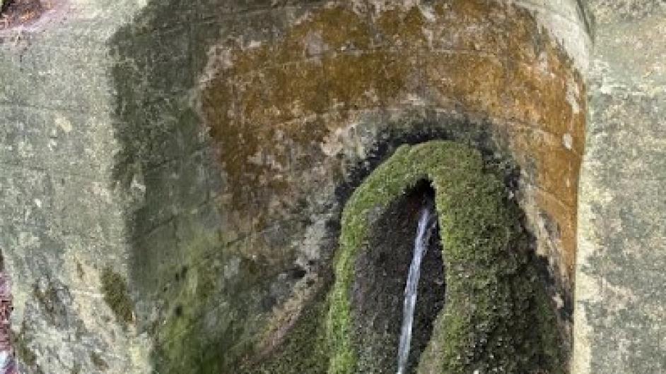 Fontaine Nourry - Emma Oria