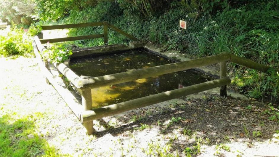 Lavoir de Saint-André-d'Hébertot - Marine Bourgault