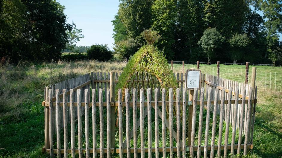 Le Chat Perché Country Pub - Saint-Julien-sur-Calonne - jardin