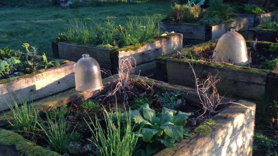 Gîte Le Manoir de la Porte - jardin - Les Authieux-sur-Calonne - Pays d'Auge - Calvados - Normandie