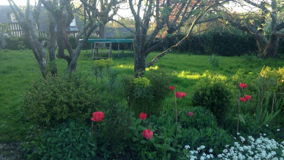 Gîte Le Manoir de la Porte - jardin - Les Authieux-sur-Calonne - Pays d'Auge - Calvados - Normandie