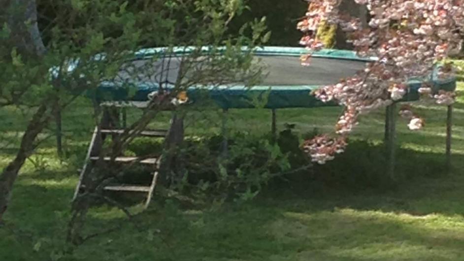 Gîte Le Manoir de la Porte - jardin - trampoline - Les Authieux-sur-Calonne - Pays d'Auge - Calvados - Normandie