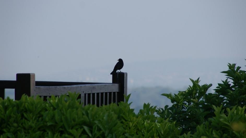 Les plus beaux panoramas - Panorama de Beaumont-en-Auge - Normandie - Calvados 