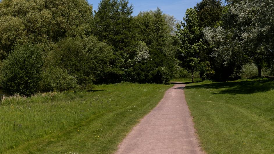 Parc résidentiel Camping du Lac Terre d'Auge - extérieur - allée - Pont-l'Evêque - Normandie - Calvados