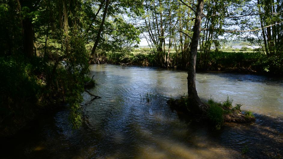 Parc résidentiel Camping du Lac Terre d'Auge - Pont-l'Evêque - Normandie - Calvados