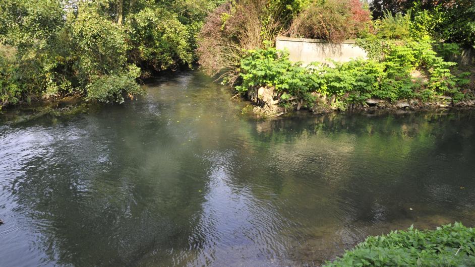 Pêcher sur la Basse Touques et la Calonne - étang - lac - Saint-Julien-Sur-Calonne - Normandie - Calvados 