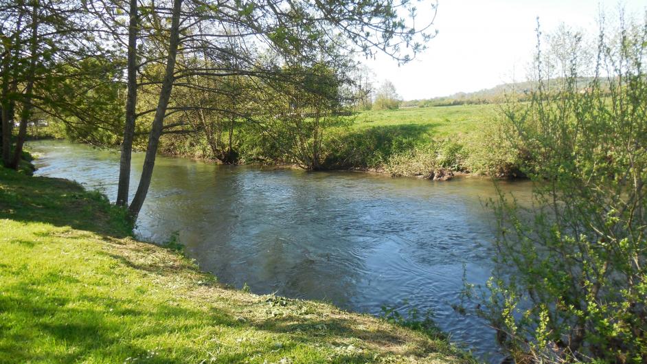 Pêcher sur la Basse Touques et la Calonne - étang - lac - Saint-Julien-Sur-Calonne - Normandie - Calvados 