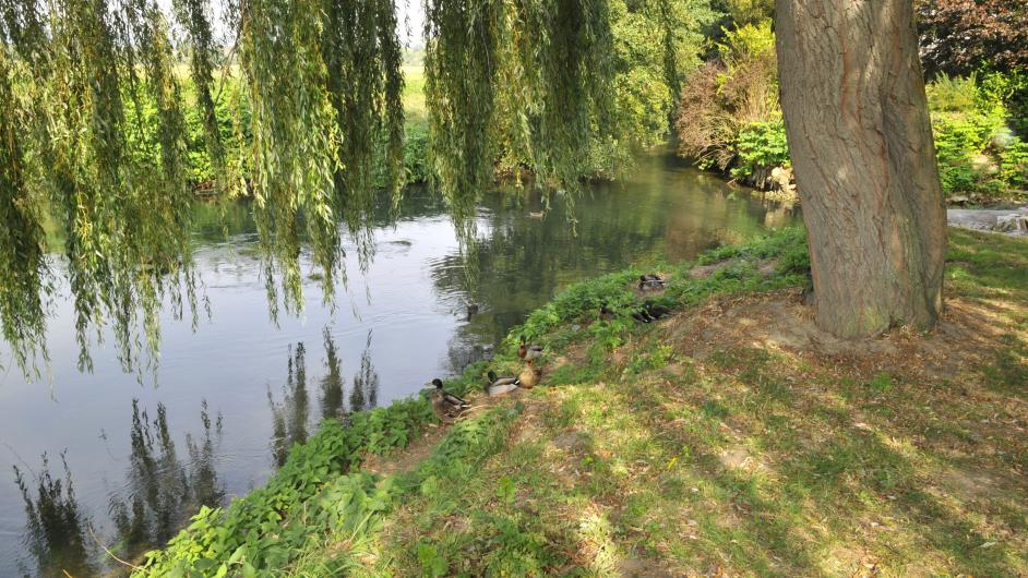 Pêcher sur la Basse Touques et la Calonne - étang - lac - Saint-Julien-Sur-Calonne - Normandie - Calvados 