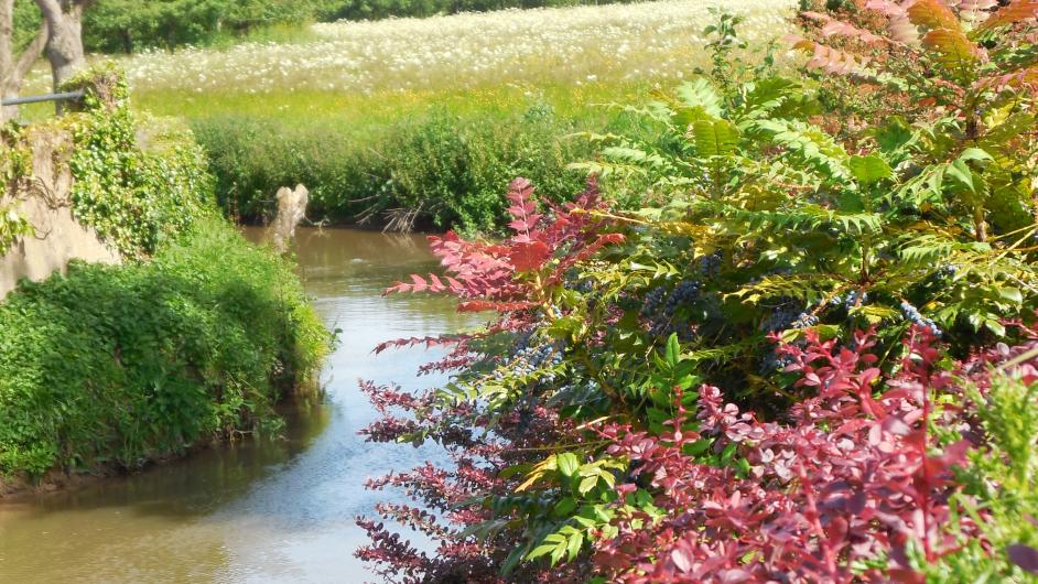 Pêcher sur la Basse Touques et la Calonne - étang - lac - Saint-Julien-Sur-Calonne - Normandie - Calvados 
