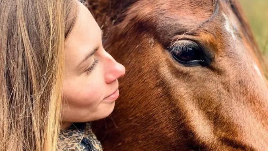 Petit nuage Equicowching - Pays d'Auge - Calvados - Normandie