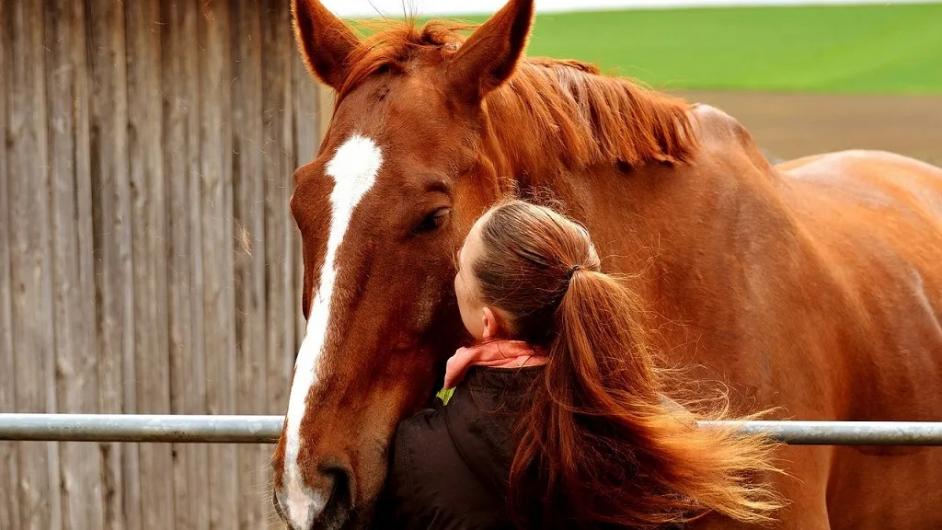 Petit nuage Equicowching - Pays d'Auge - Calvados - Normandie