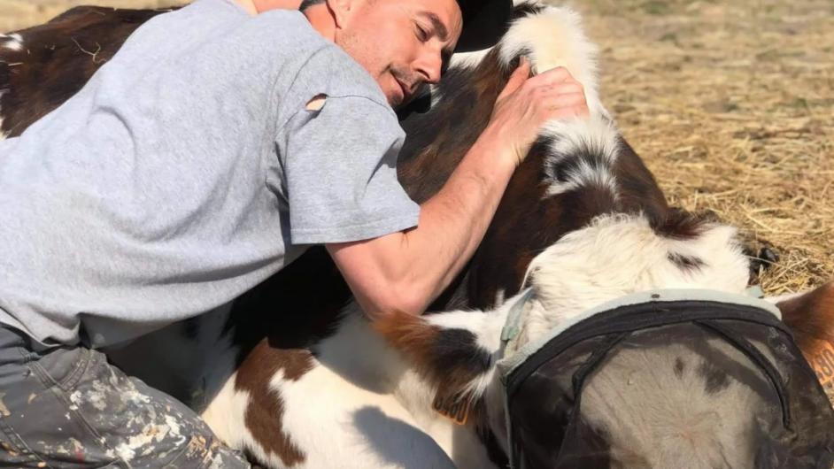 Petit nuage Equicowching - Pays d'Auge - Calvados - Normandie