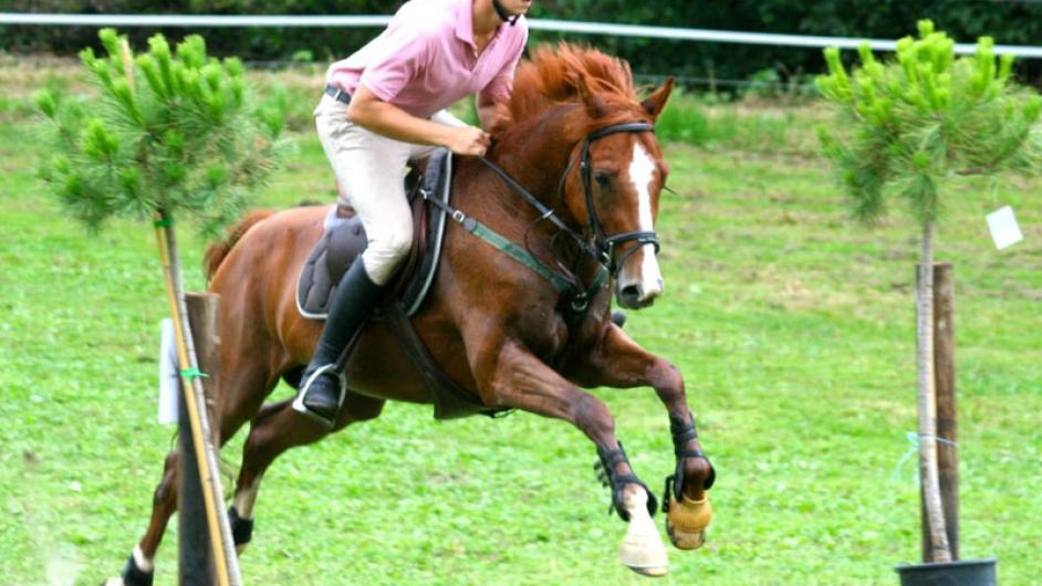 Cavalier en compétition Calvados (1) - D. de Polignac