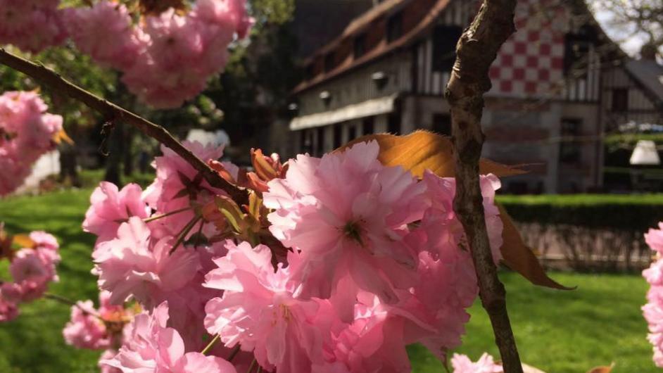 Restaurant Le Pot d'Etain - extérieur - entrée - fleur - Manerbe - Normandie - Calvados 