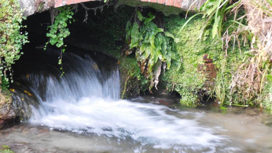 Les rivières, sources & lavoirs - La Dorette à Bonnebosq - Normandie - Calvados