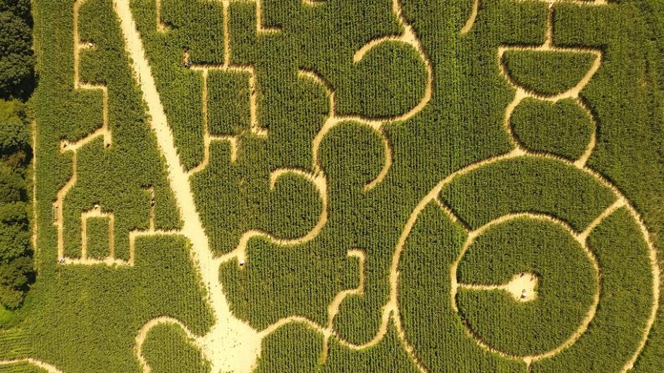 ZOOM vue aerienne labyrinthe - Labyrinthe Honfleur